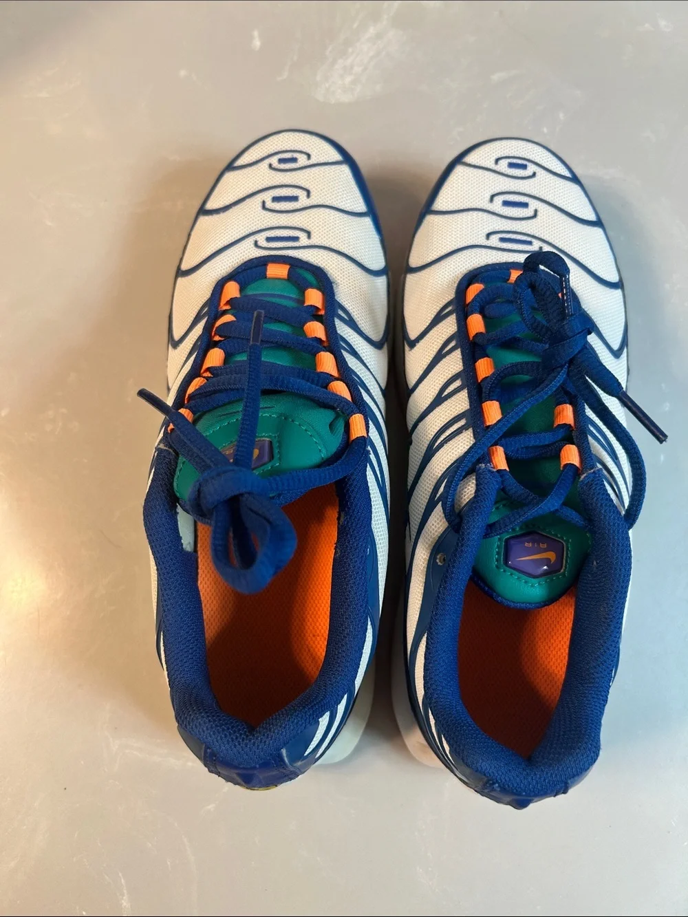Nike Air Max Plus Neptune Green, White, Blue